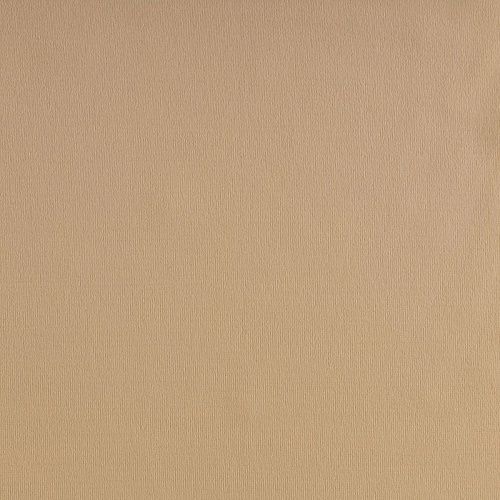 Лайкра К33-899 карамельный однотонный col.13